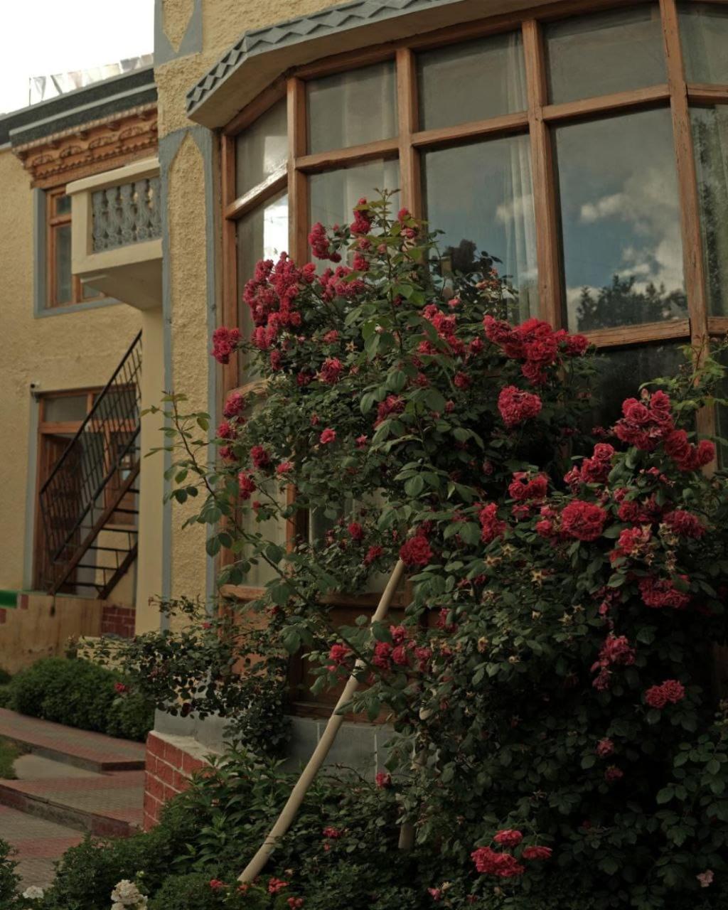 Hotel Lonchay Residency Leh Buitenkant foto